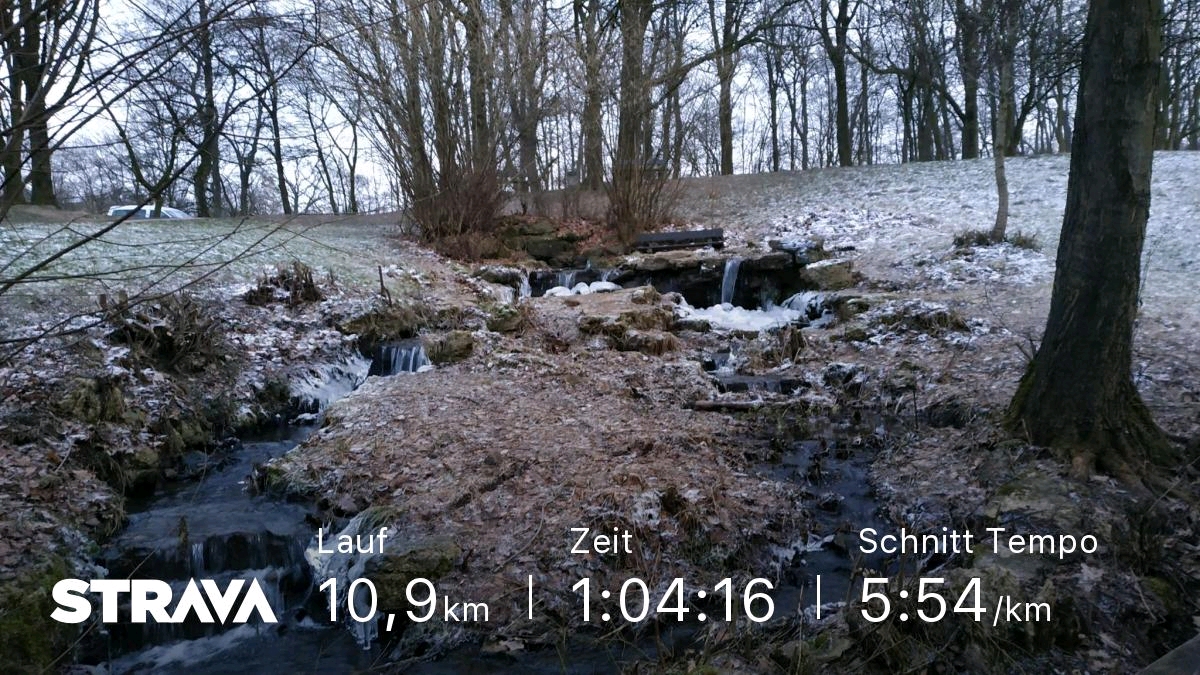 Jog around the blog [182]: Kalt im Wald (2)
