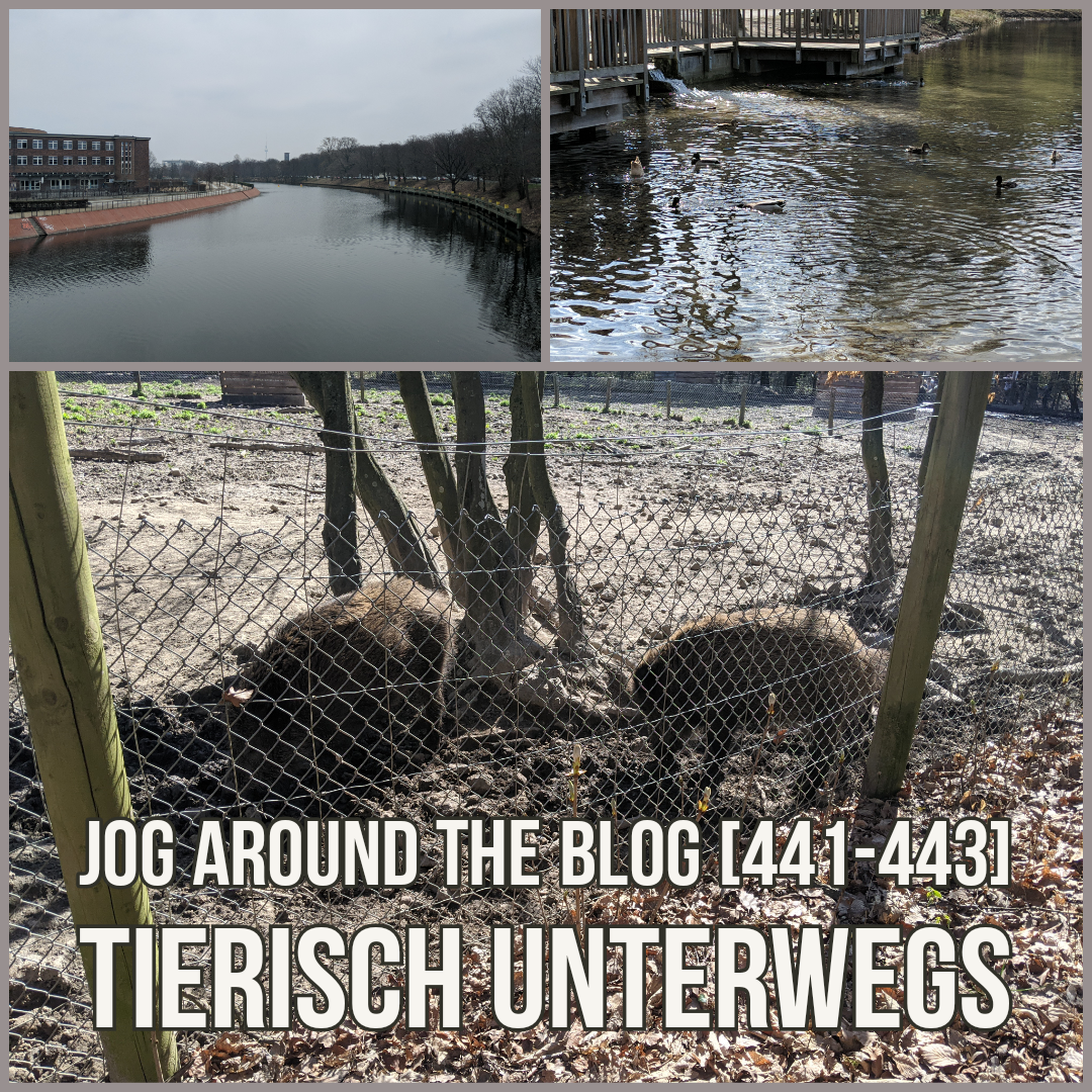 Jog around the blog [441-443]: Tierisch unterwegs